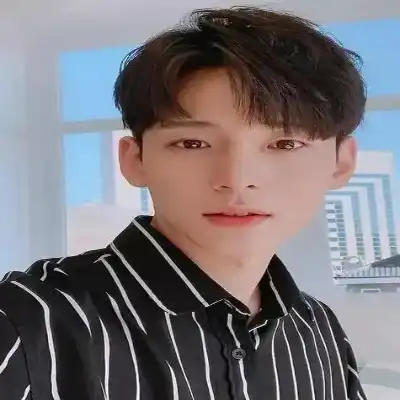 汪梨